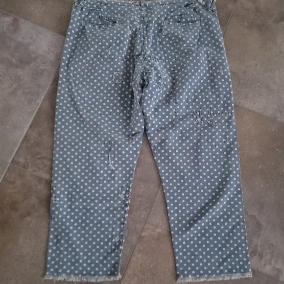 Magnolia Pearl Polka Dot Chino Pants - Picture 3 of 13
